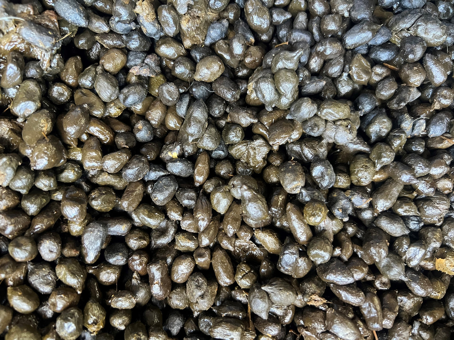 Alpaka Kacka Universaldünger für den Garten